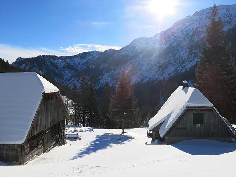 Buchbergkogel